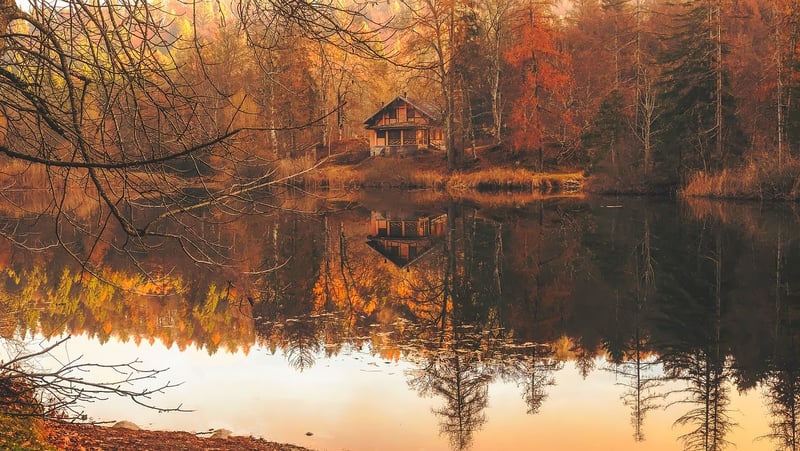 Fall Garden